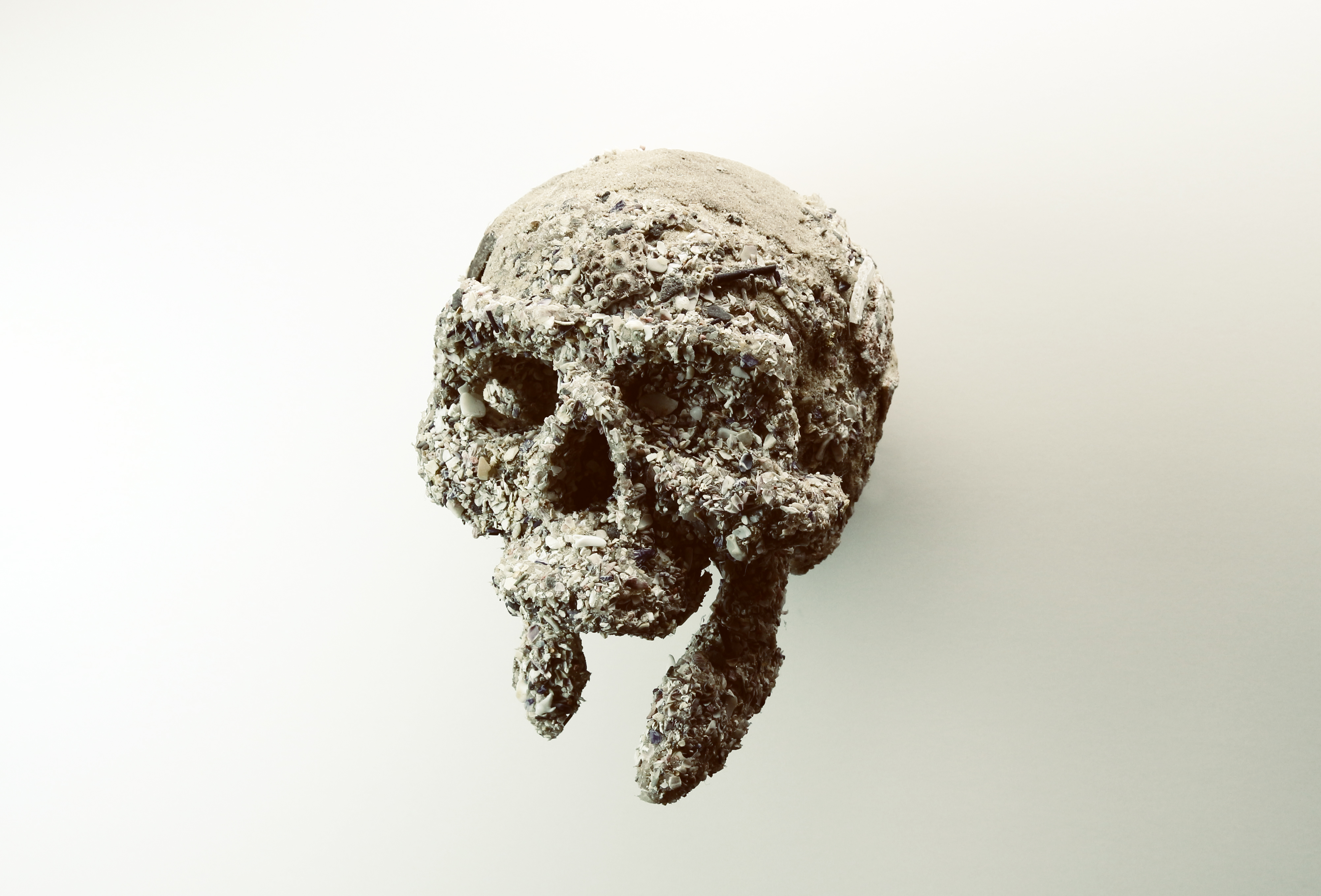 skull.1